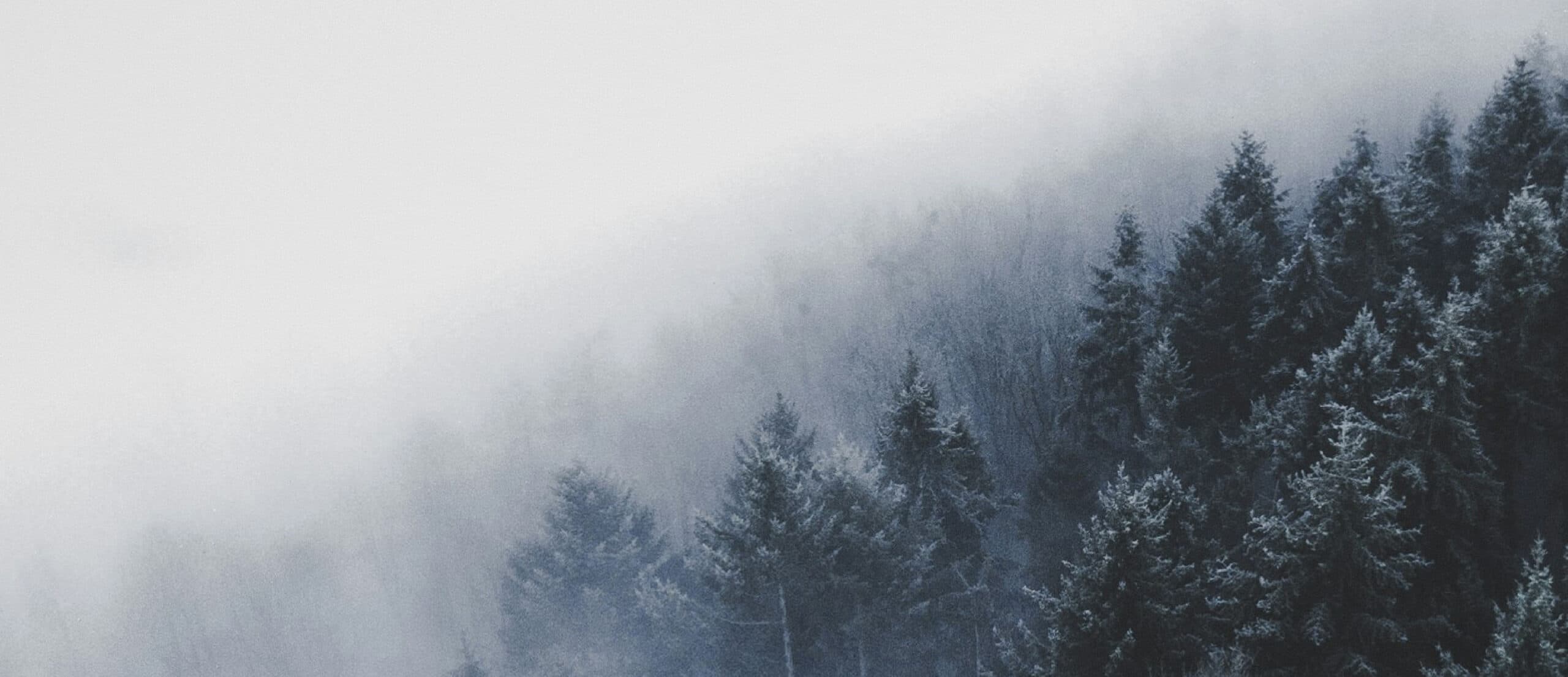 UTRAILOO v zimě – zasněžená krajina